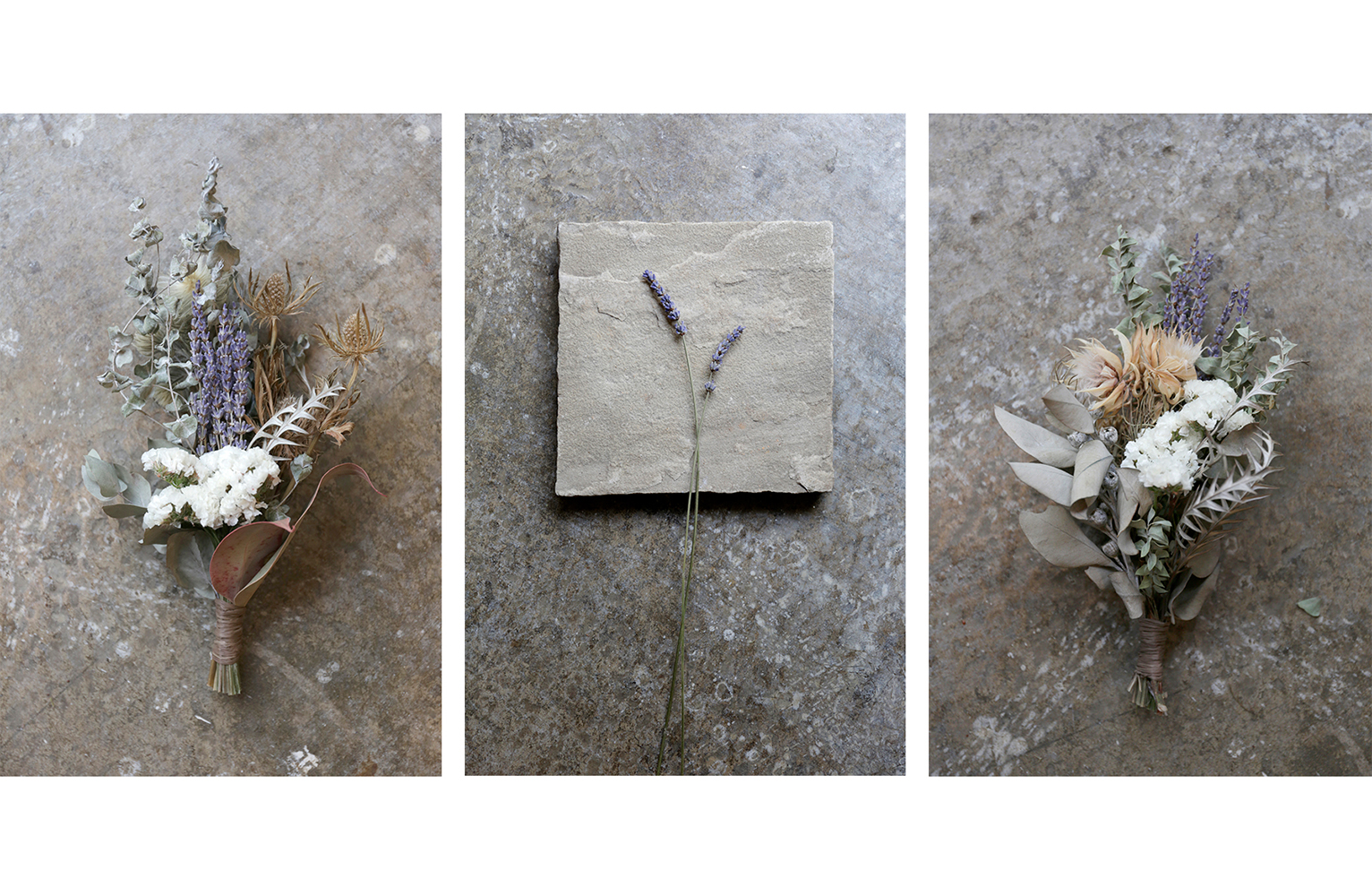still life pictures of dried flowers by Namiko Kitaura