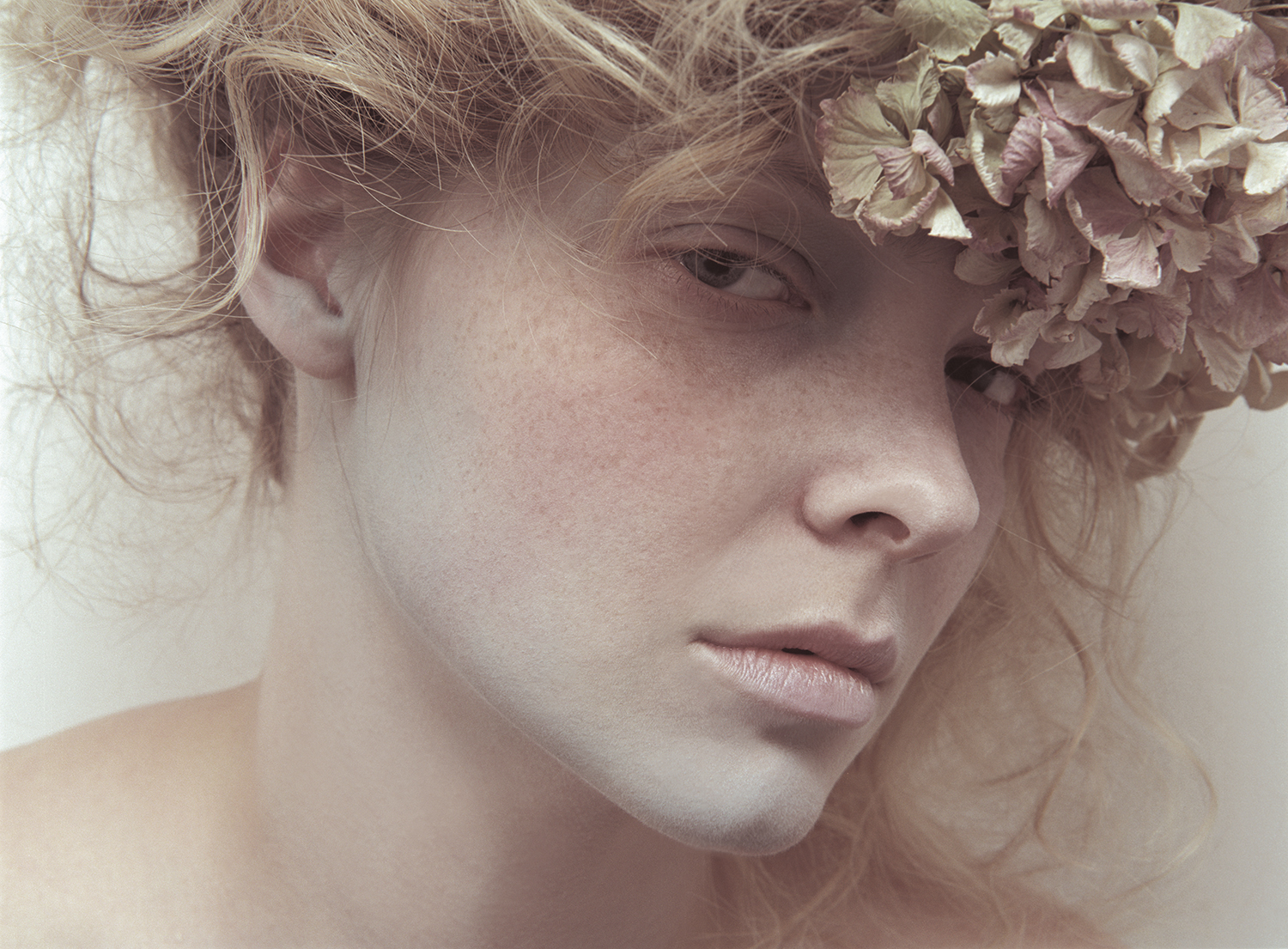 portrait photography with hydrangea flowers by Namiko Kitaura