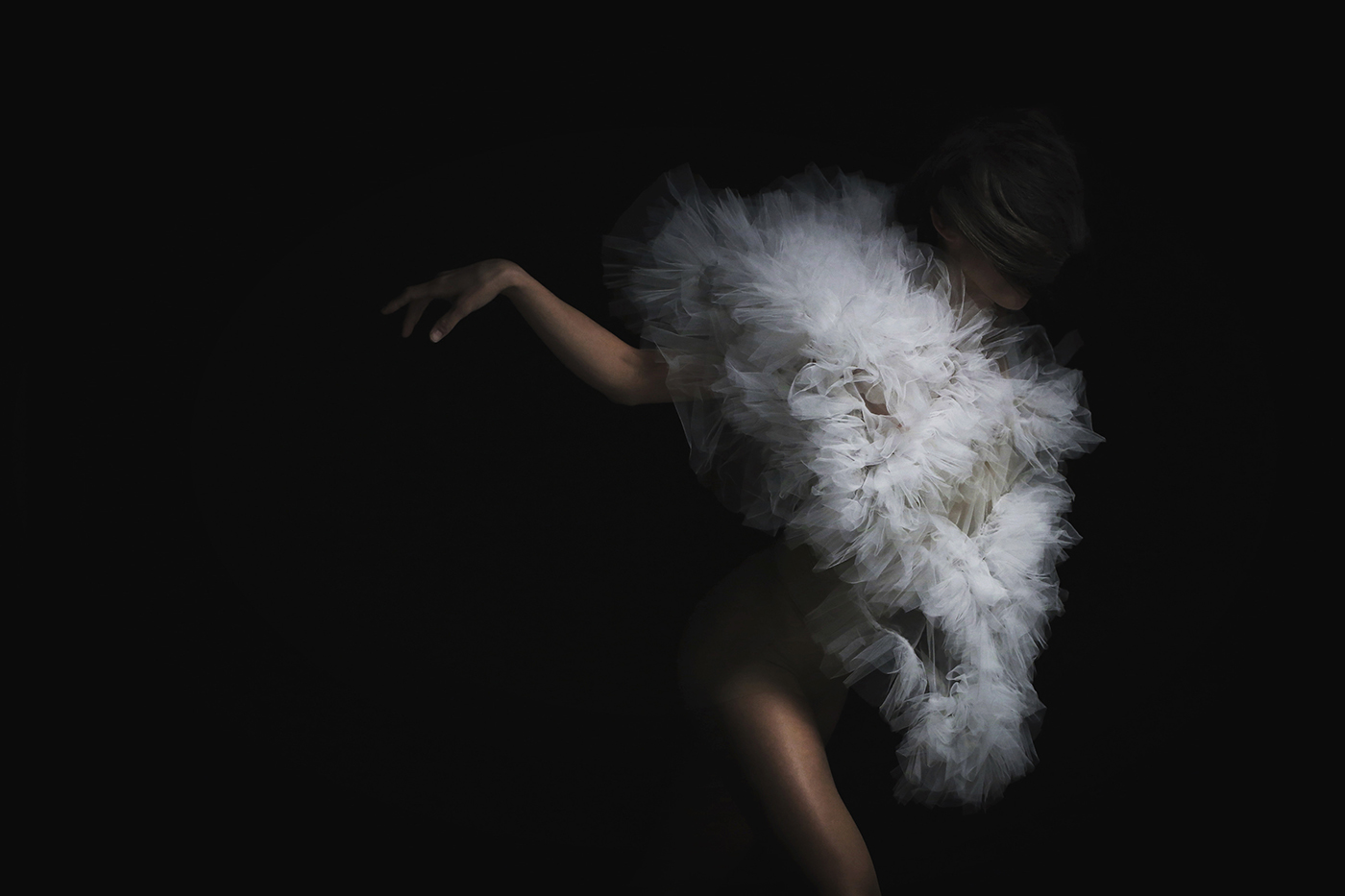 a picture of a ballerina with a white tutu designed by Araki Shiro